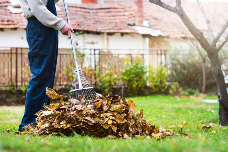 Lawn Care in Autumn