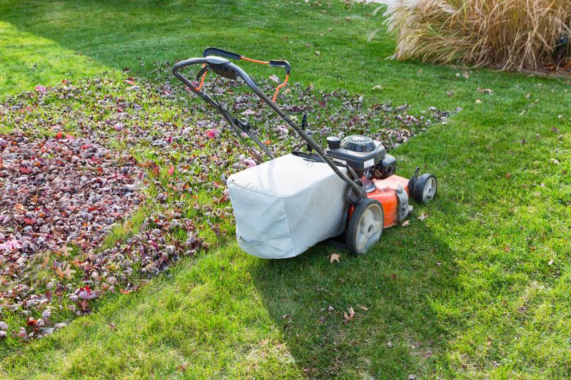 Autumn Lawn Maintenance