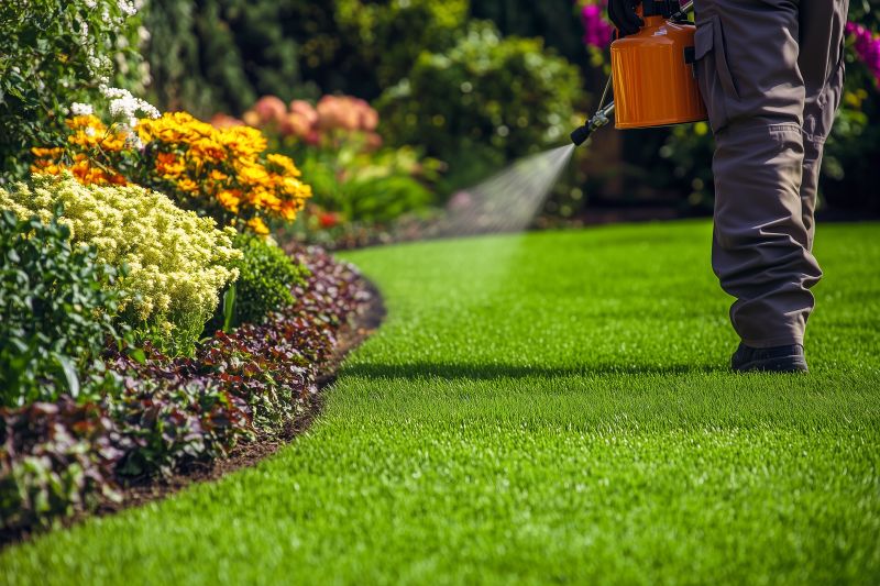 Spring Lawn Fertilizing in Ventura County, CA