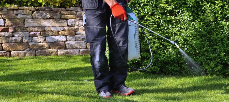 Weed Control Service in Rockwall, TX
