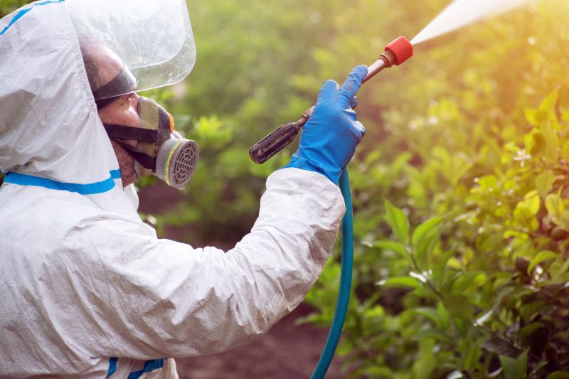 Weed Prevention Service in Ventura County, CA